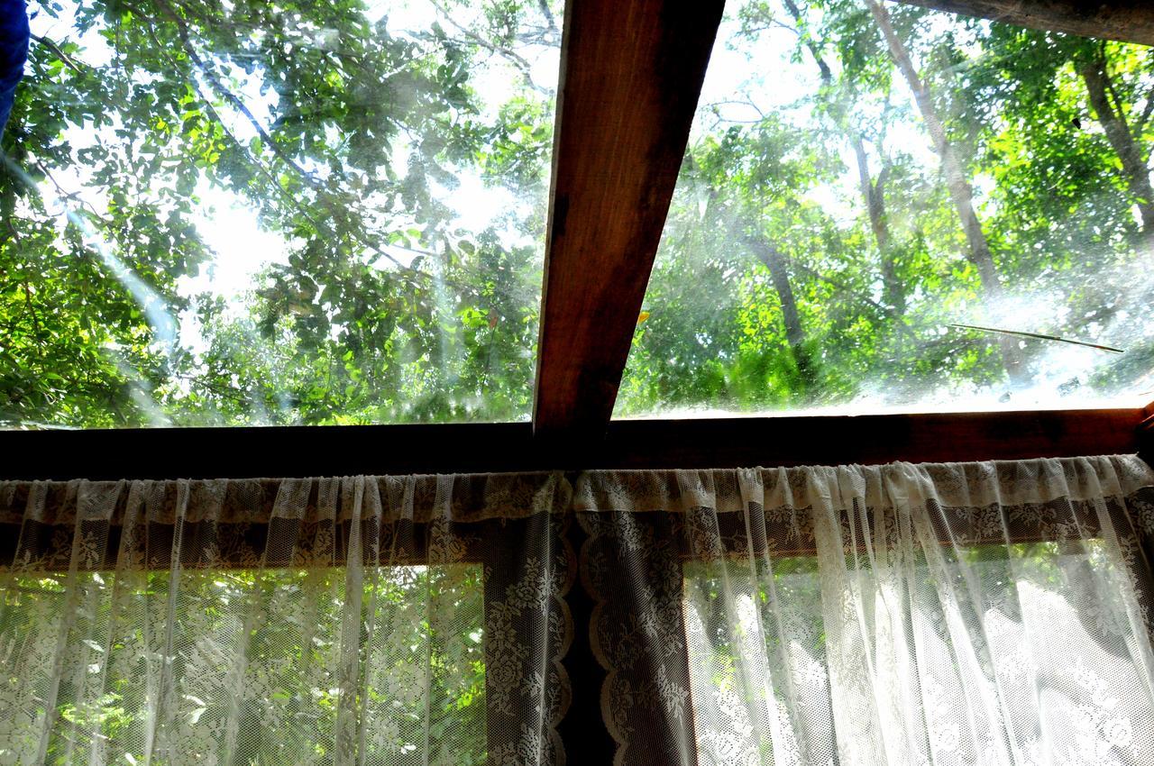 Raintree Villa Dambulla Exterior photo
