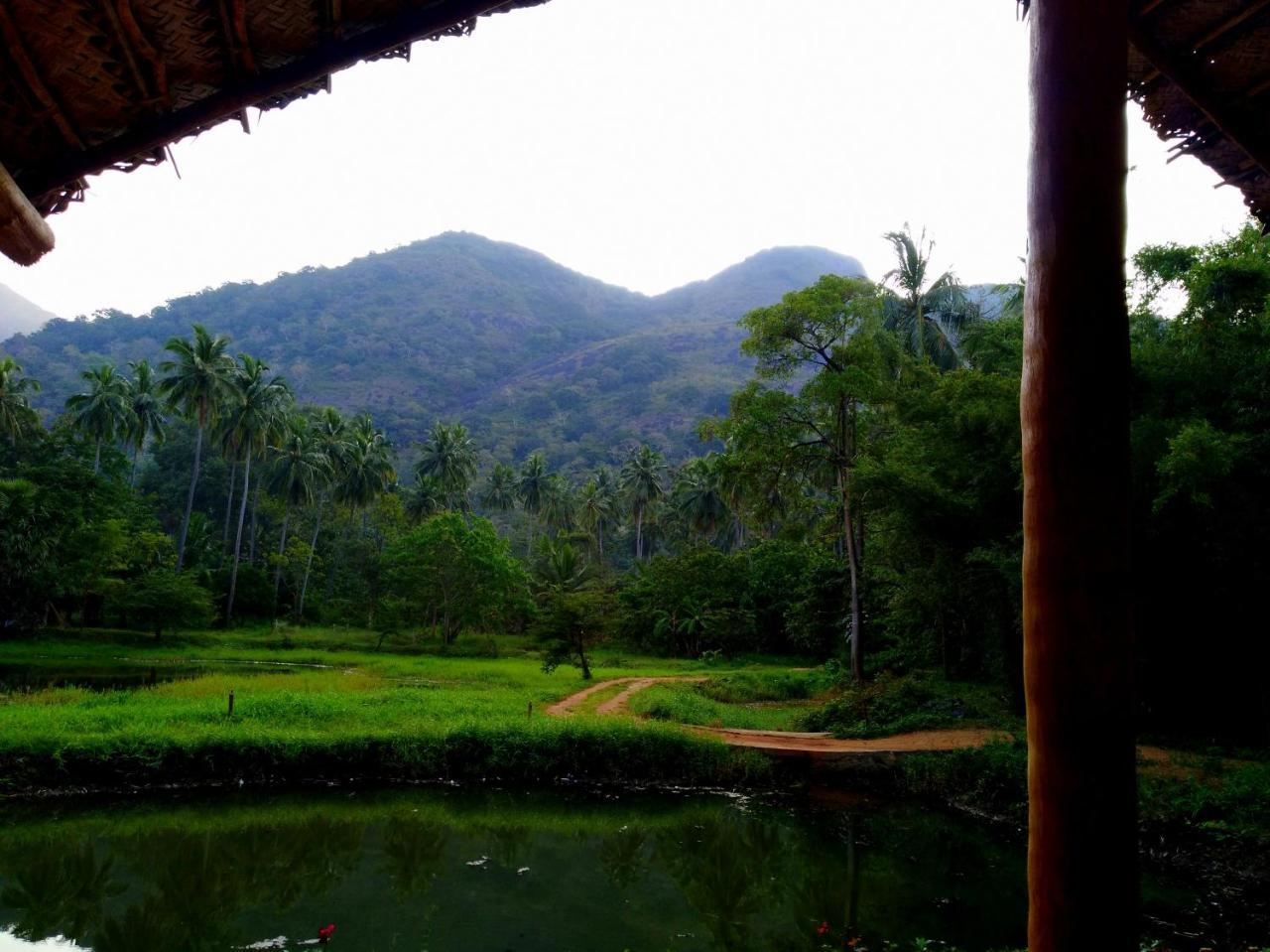 Raintree Villa Dambulla Exterior photo